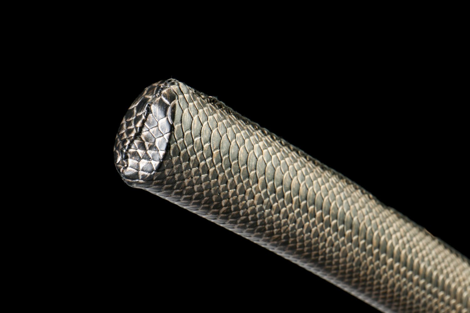 IMG_8920 65Mn steel  - Pure Hand-Forged Katana - Green Wood Scabbard - Zinc Alloy Fitting - Scales - Black Feather