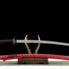 IMG_9864 1065 steel - pure hand-forged samurai sword - green leather sheath - red - deep fire