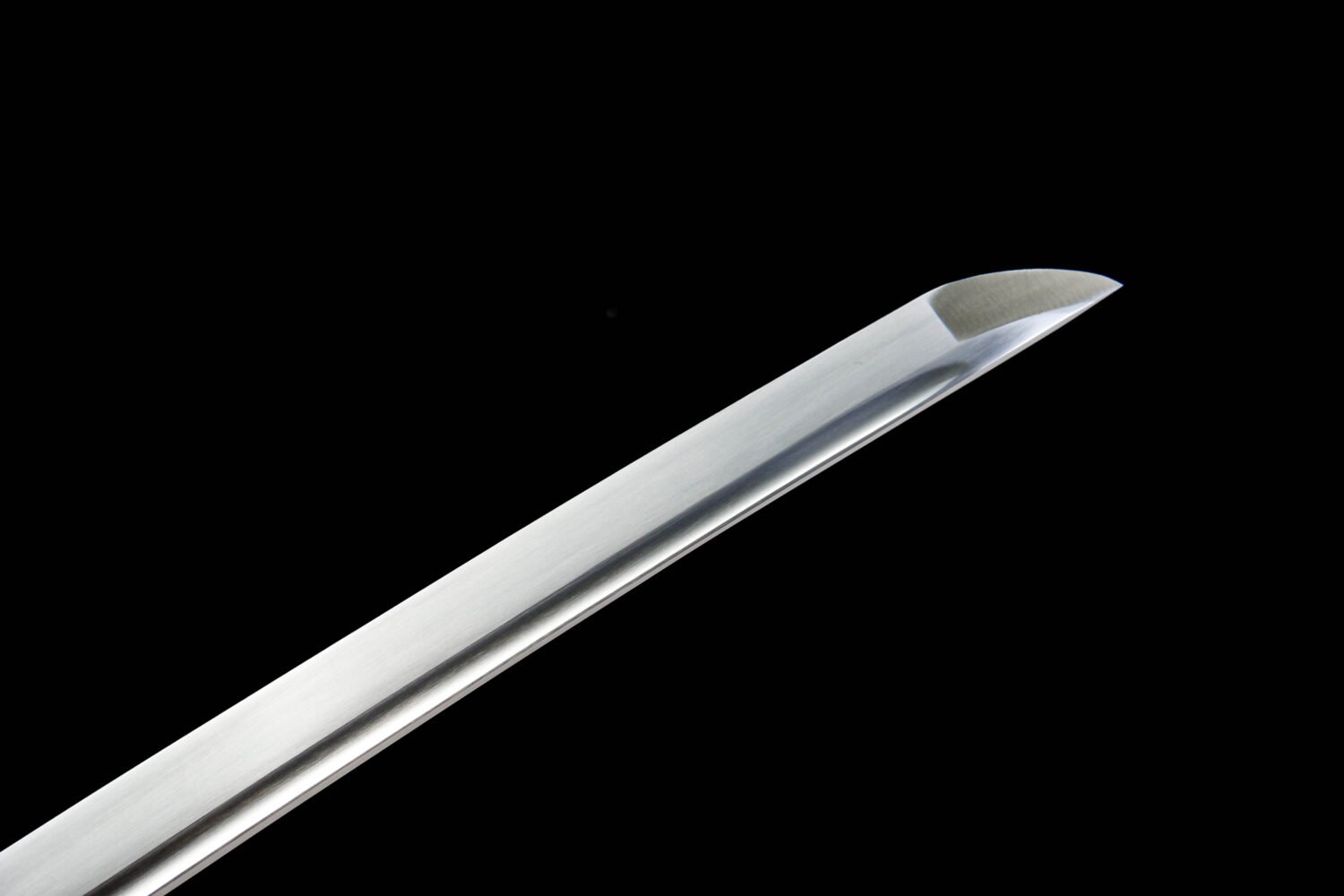 IMG_3815 1065 steel - pure hand-forged samurai sword - green leather sheath - iron fittings - Qingying