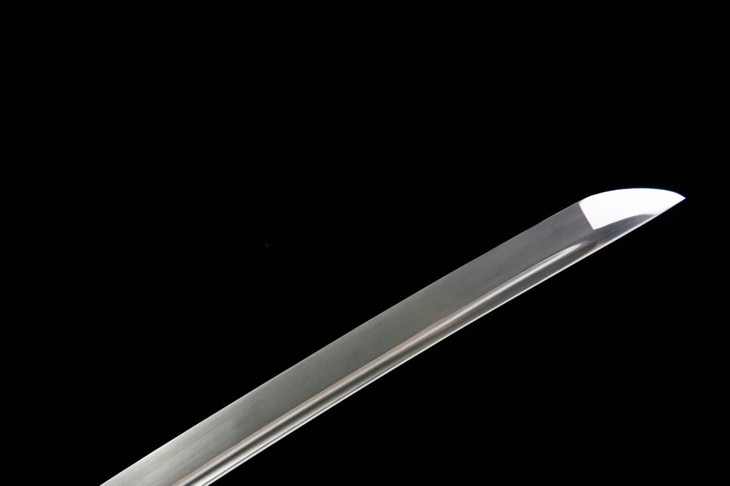 IMG_3816 1065 steel - pure hand-forged samurai sword - green leather sheath - iron fittings - Qingying